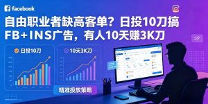 自由职业者缺高客单?日投10刀搞FB+INS广告,有人10天赚3K刀!【原创双语字幕】-虚拟资源库