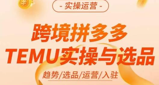 伍跃·跨境拼多多TEMU实操与选品，​趋势/选品/运营/入住（27节完整）-虚拟资源库