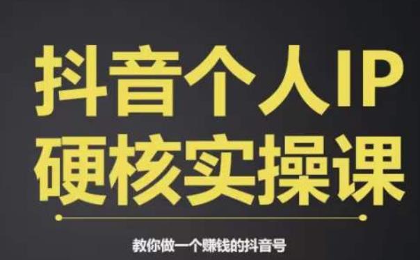 个人IP创富系统实战课，商业定位，流量打造，短视频变现，教你做个赚钱的抖音号-虚拟资源库