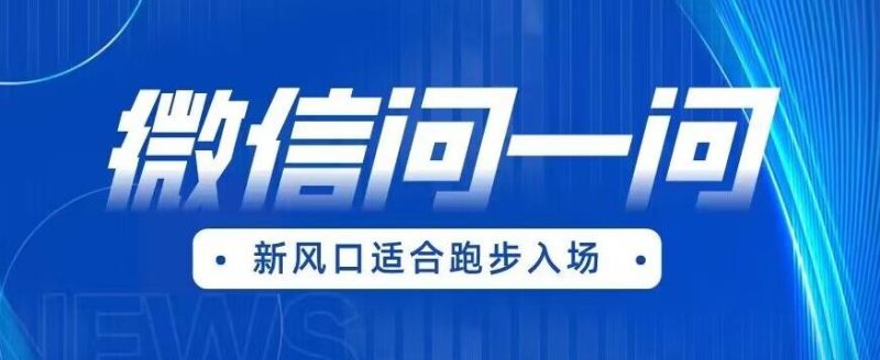 全网首发微信问一问新风口变现项目（价值1999元）【揭秘】-虚拟资源库