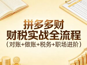 拼多多财税实战全流程（对账+做账+税务+职场进阶）-虚拟资源库