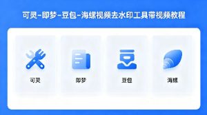 可灵–即梦–豆包–海螺视频去水印工具带视频教程-虚拟资源库