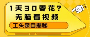 1天30零花?无脑看视频,大佬亲自揭秘-虚拟资源库
