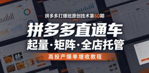 拼多多打爆班原创技术第60期,拼多多直通车,起量・矩阵・全店托管,高投产爆单增收教程-虚拟资源库