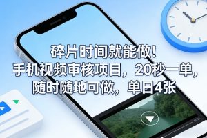 碎片时间就能做！手机视频审核项目，20秒一单，随时随地可做，单日4张+【揭秘】-虚拟资源库