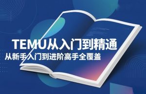 TEMU从入门到精通,从新手入门到进阶高手全覆盖-虚拟资源库