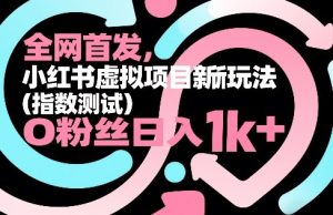 全网首发,小红书虚拟项目新玩法(指数测试),0粉丝日入1k+,整个玩法完整拆解!-虚拟资源库
