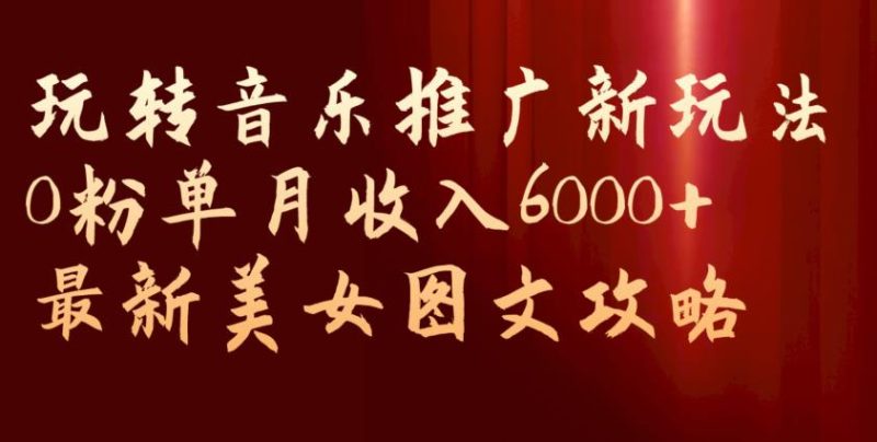 玩转音乐推广新玩法,0粉单月收入6000+,最新美女图文攻略【揭秘】-虚拟资源库