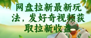 网盘拉新最新玩法,发好奇视频获取拉新收益,抖音收藏家玩法-虚拟资源库