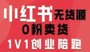 小红书无货源0粉电商课,开店准备、选品策略、笔记撰写、视频剪辑、数据分析、账号打造、资料文档(更新26年2月)-虚拟资源库