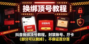 抖音换绑顶号教程,封禁账号、Ting卡(部分可以脱掉),不保证百分百-虚拟资源库
