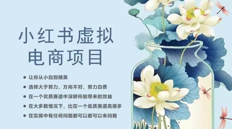 小红书虚拟电商从0到1，让你从小白到精英（20节实操课程）-虚拟资源库