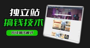 干货来袭！麦子甜带你吃透独立站｜从搭建到引流一站式教学《独立站》第一期-虚拟资源库