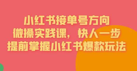 接单号方向·小红书微操实践课,快人一步,提前掌握小红书爆款玩法-虚拟资源库