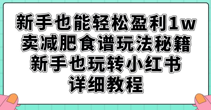 新手也能轻松盈利1w，卖减肥食谱玩法秘籍，新手也玩转小红书详细教程【揭秘】-虚拟资源库