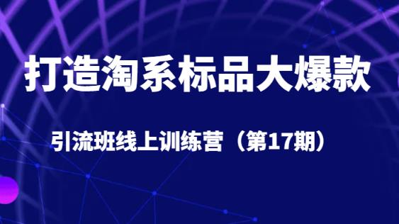 打造淘系标品大爆款引流班线上训练营（第17期）5天直播授课-虚拟资源库