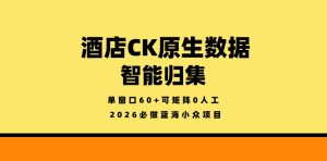 酒店CK原生数据智能归集,单窗口60+可矩阵0人工,2026必做蓝海小众项目【揭秘】-虚拟资源库