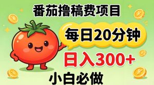 番茄撸稿费，每天20分钟，日入300+！0门槛躺賺，小白直接抄作业【揭秘】-虚拟资源库