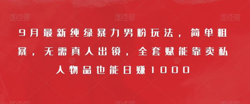 9月最新纯绿暴力男粉玩法,简单粗暴,无需真人出镜,全套赋能靠卖私人物品也能日赚1000-虚拟资源库