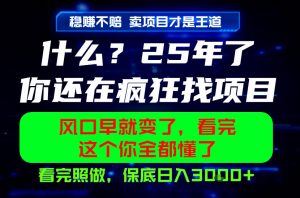 26年,请不要疯狂的找项目做了!卖项目才是真的稳賺不赔,看完照做,保底日入1k+【揭秘】-虚拟资源库