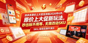 拼多多原价上大促全流程,原价上大促新玩法,秒出标不用等、无需改动SKU,现场实操演示(2026年6月)-虚拟资源库