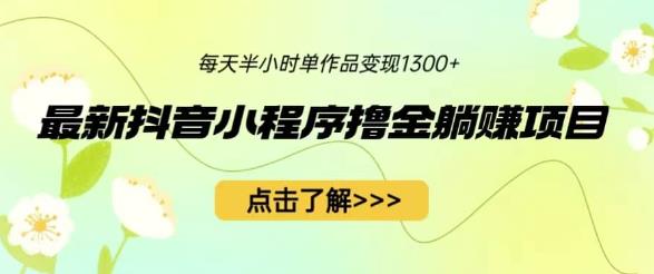 最新抖音小程序撸金躺赚项目，一部手机每天半小时，单个作品变现1300+【揭秘】-虚拟资源库