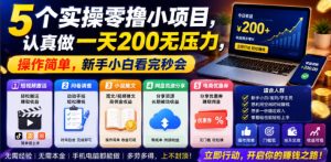 5个实操零撸小项目,认真做一天200无压力,操作简单,新手小白看完秒会【揭秘】-虚拟资源库