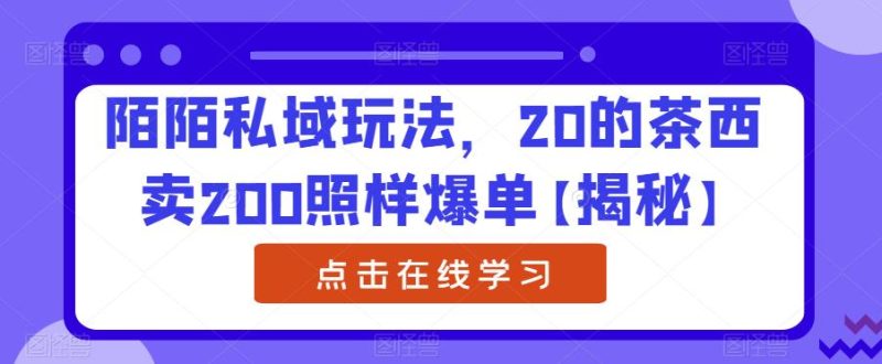 陌陌私域玩法,20的茶西卖200照样爆单【揭秘】-虚拟资源库