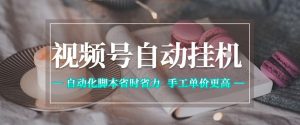 视频号自动挂G项目,自动化脚本省时省力,手工单价更高,日入300+全网最稳【揭秘】-虚拟资源库