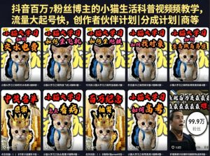 抖音百万粉丝博主的小猫生活科普视频教学,流量大起号快,创作者伙伴计划|分成计划|商单|收徒等-虚拟资源库