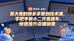 某大佬的拼多多原创技术课，手把手教小二开直通车，快速提升店铺销量-虚拟资源库