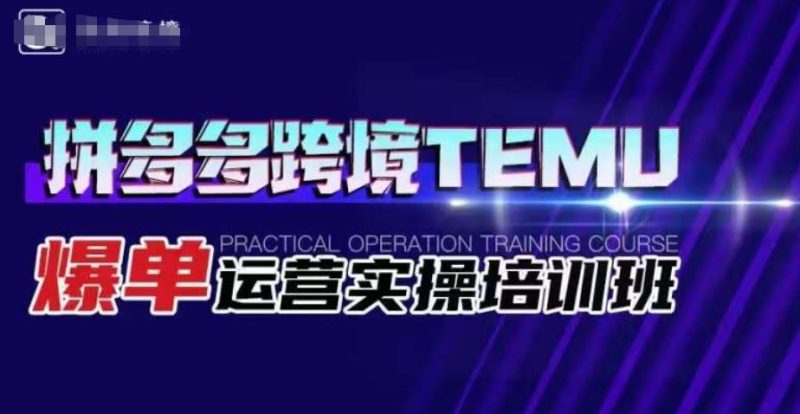 拼多多跨境TEMU爆单运营实操培训班,海外拼多多的选品、运营、爆单-虚拟资源库