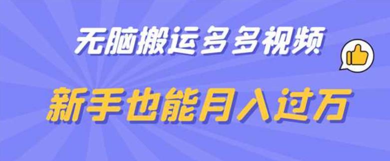 无脑搬运多多视频，新手也能月入过万【揭秘】-虚拟资源库