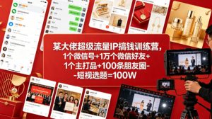 某大佬超级流量IP搞钱训练营，1个微信号+1万个微信好友+1个主打品+100条朋友圈-短视选题=100W-虚拟资源库