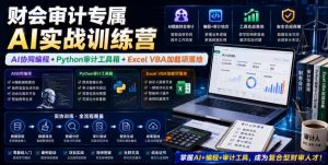 财会审计专属AI实战训练营｜AI协同编程+Python审计工具箱+Excel VBA加载项落地-虚拟资源库