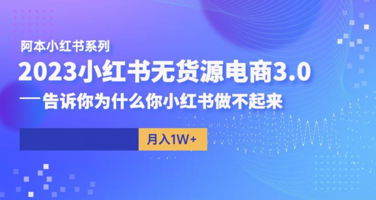 阿本小红书无货源电商3.0,告诉你为什么你小红书做不起来-虚拟资源库