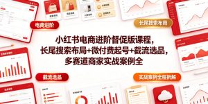 小红书电商进阶督促版课程，长尾搜索布局+微付费起号+截流选品，多赛道商家实战案例全程拆解-虚拟资源库