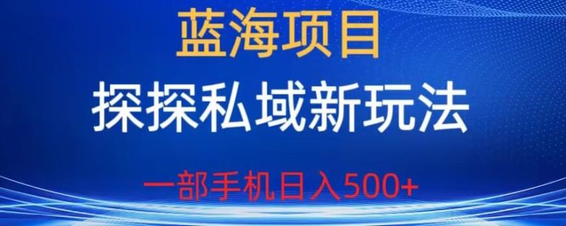 蓝海项目，探探私域新玩法，一部手机日入500+很轻松【揭秘】-虚拟资源库