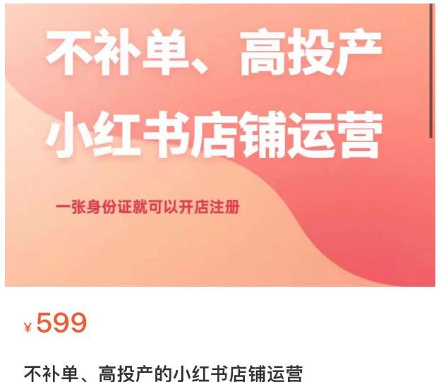 不补单、高投产的小红书店铺运营,一张身份证就可以开店注册-虚拟资源库
