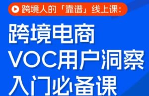 跨境电商VOC用户洞察入门必备课,跨境人的靠谱线上课-虚拟资源库