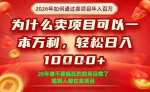一单净利润1K+,26年想年入100个W,死磕卖项目就够了【揭秘】-虚拟资源库