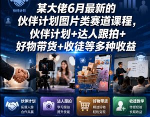 某大佬6月最新的伙伴计划图片类赛道课程，伙伴计划+达人跟拍+好物带货+收徒等多种收益-虚拟资源库