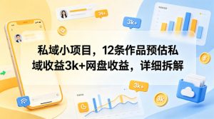 私域小项目,12条作品预估私域收益3k+网盘收益,详细拆解-虚拟资源库
