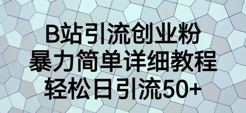 B站引流创业粉，暴力简单详细教程，轻松日引流50+【揭秘】-虚拟资源库