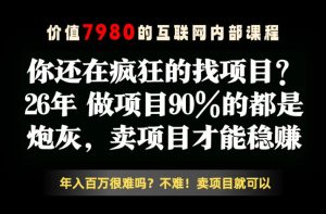 26年请不要疯狂的找项目了,卖项目远比你想象的暴利,你也可以月入10W+【揭秘】-虚拟资源库