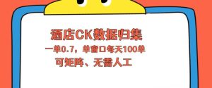 上班也能玩的酒店CK数据归集,一单0.7单窗口每天可做100单,一个人就能矩阵操作【揭秘】-虚拟资源库