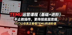 TEMU运营课程（基础+进阶），不止教操作，更传授底层思维，一门让你真正看懂TEMU的进阶课-虚拟资源库