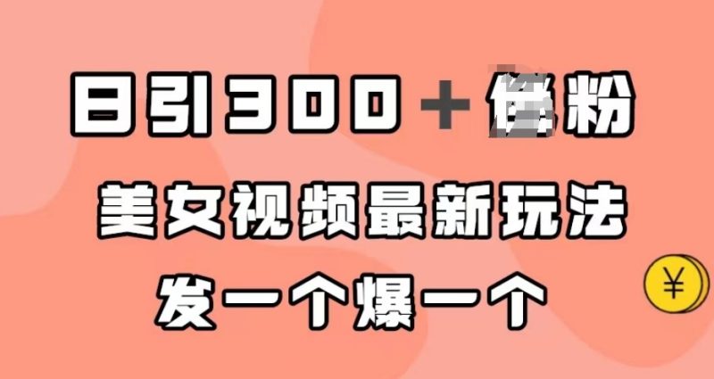 日引300+男粉,美女视频最新玩法,发一个爆一个【揭秘】-虚拟资源库