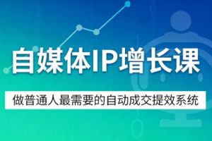 自媒体IP增长课,做普通人最需要的自动成交提效系统-虚拟资源库