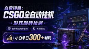 自营项目：CSGO全自动挂G，游戏搬砖捡漏，软件科技简单易用，长期稳定，小白单日300+利润【揭秘】-虚拟资源库